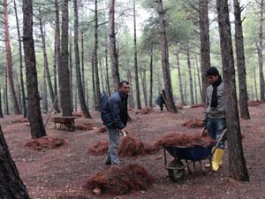 Kent Ormanı’nda Çevre Temizliği Yapıldı