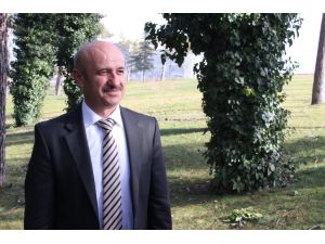 Denizli’de Ormanlık Alanlar Çoğalıyor