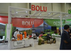 Bolulu Aşçılar, Kabaktan Heykel Yaptı
