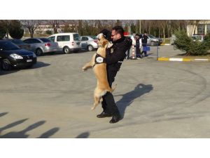 “Çapkın” Ve “Back” Emniyetin Gözdesi