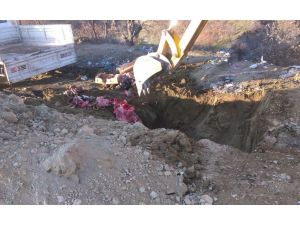 750 Kilo Et İmha Edildi