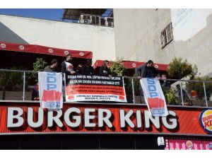 O Görüntülerin Ardından İşgal Edildi