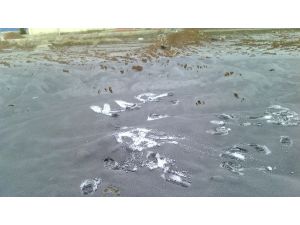 Kar, Santral Çevresinde Siyaha Döndü