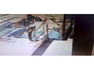 Minik Yaramaz Yürüyen Merdivende !