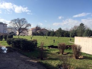 Belediye Kendi Elektriğini Üretiyor