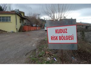 Çanakkale’de Kuduz Karantinası