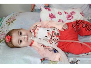 Ece Nur Bebeğin Hastalığı 5 Milyonda Bir Görülüyor