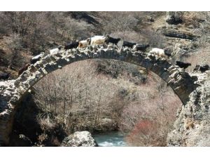 Tarihi Taş Köprü Tescil Edildi