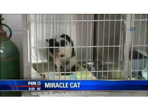 Gömüldükten 5 Gün Sonra Hayata Döndü