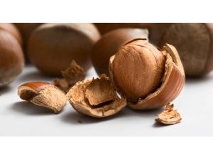 Fındık Sektörü Hedef Büyüttü