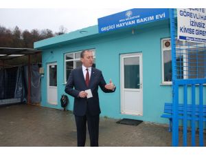 Biga Belediyesinden Asılsız Hayvan Barınağı Haberlerine Tepki