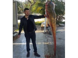 Böylesini İlk Kez Yakaladılar