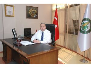 Fındık Fiyatındaki Artışın Nedeni