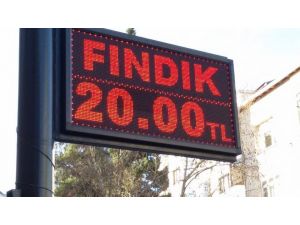Fındık Kendi Rekorunu Kırdı