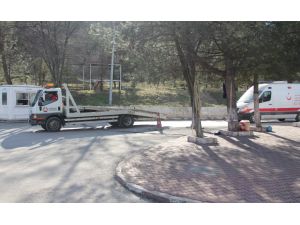 Kantardan Ceza Yememek İçin Halatla Çekti Sonra Yükledi