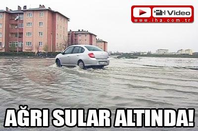 Ağrıyı sel bastı 