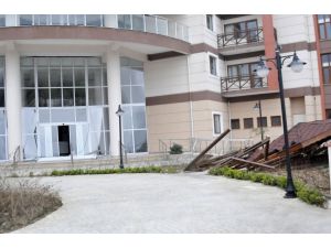 Lodos Yalova’da Huzurevinin Kapısını Ve Kamelyasını Devirdi