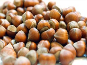 Tobb, Yeni Fındık Kanunu İstiyor