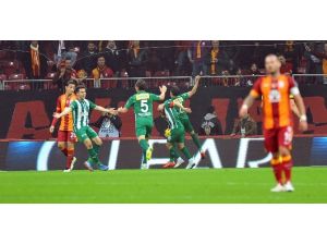 Timsah’tan Aslan’a Çelme