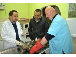 (Özel Haber) Hasta Kartala Vatandaş Sahip Çıktı