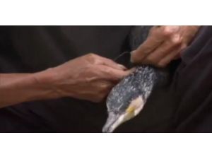 Böyle Balıkçılık Yöntemi Görülmedi!