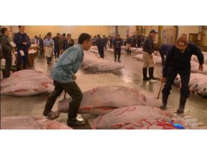 Bu Mezat Dev Orkinoslar İçin