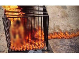 Ürdün’den Işid’e Misilleme