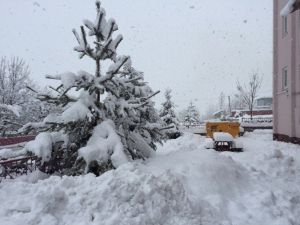 Yedisu’da Kar Esareti