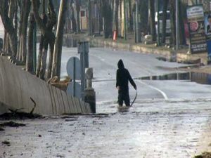 Günlerdir Aç Kalan Köpeklere Yem Olacaktı