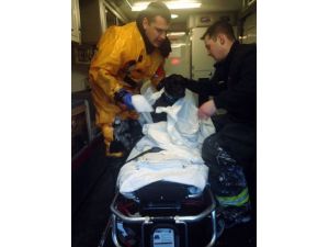 Buz Tutmuş Göle Düşen Köpek Donmaktan Son Anda Kurtarıldı