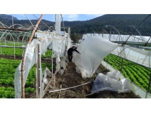 (Özel Haber) Seraları Uçuran Lodos Yüzlerce Çiftçiyi Mağdur Etti