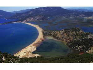 İztuzu Plajı İhalesi İptal Ediliyor