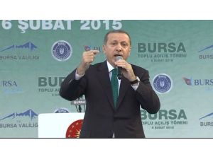 Sen Hoca Mısın, Yoksa Banka Patronu Musun?