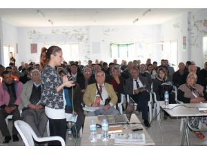 Rönesans Holding ‘Den Yumurtalık’a Termik Santral