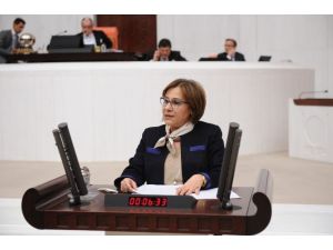 Uludağ’daki Kazalar Mecliste