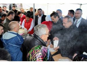 Bakan Faruk Çelik Festivalde Hamsi Dağıttı, Horon Tepti