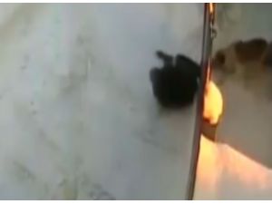 O Hareketi Yapmayacaktın