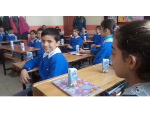 Ders Zili Çaldı