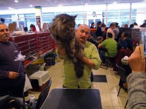 13 Kiloluk Kediye 1 Milyon Tl Fiyat Biçildi