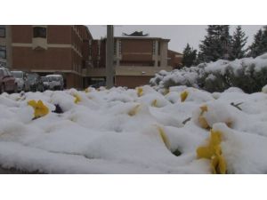 Eskişehir’de Kar Yağışı