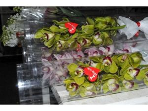 Sevgililer Günü Çiçeklerine Lodos Darbesi