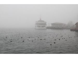 Deniz Seferleri İptal