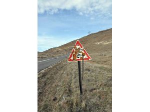 Trafik Levhaları Maganda Kurbanı