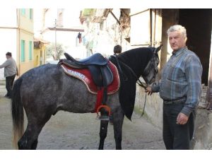 At Sevgisi Bakın Ne Yaptırdı !