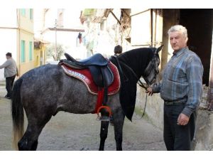 At Sevgisi Hukuku Bıraktırdı