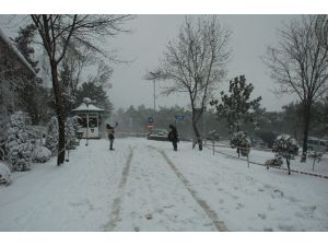 Okulları Tatil Olan Çocukların Kar Keyfi