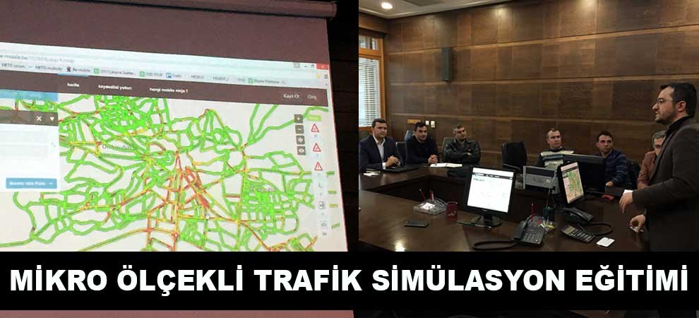 Mikro Ölçekli Trafik Simülasyon Eğitimi