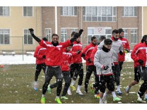Ptt 1. Lig