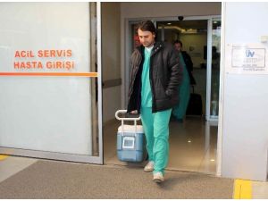 Özbek Kadının Organları 4 Hastaya Umut Oldu
