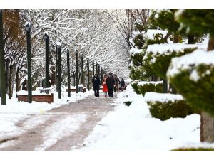 Kar Güzellik Getirdi